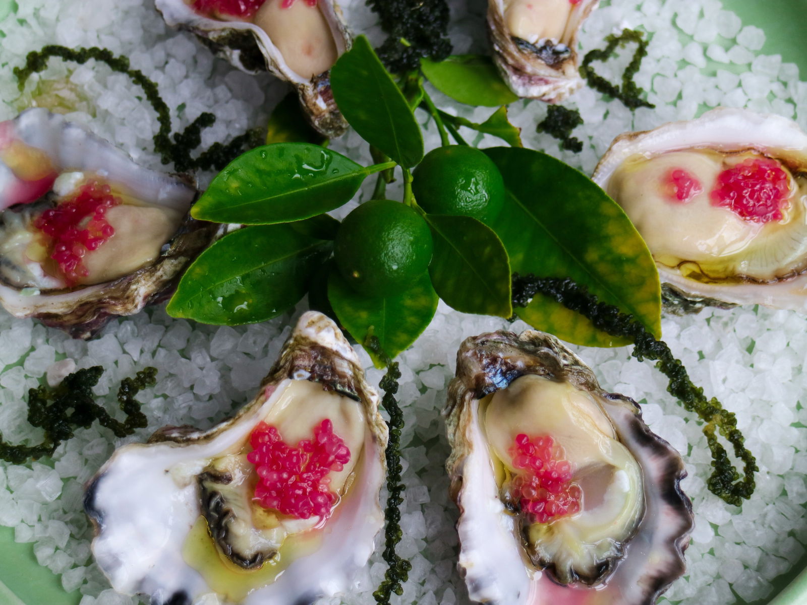 Gerringong NSW Phillip Island Accommodation