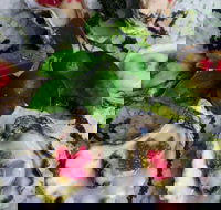 Bella Char Restaurant  Wine Bar - Phillip Island Accommodation