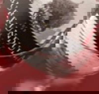 Burrundulla Vineyards - Phillip Island Accommodation