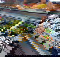 Chippendale Scoop - Phillip Island Accommodation