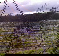 Darlington Vineyard - Phillip Island Accommodation