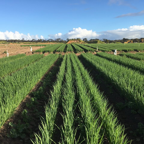 Hawkes Farm - Phillip Island Accommodation 0