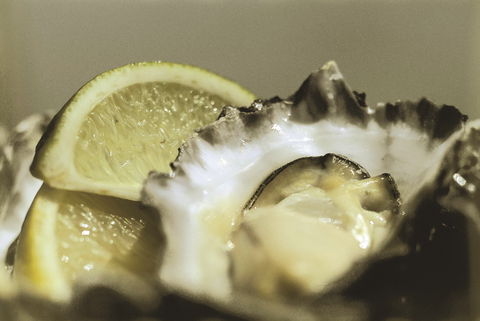 Pearly Oyster Bar And Farm - Phillip Island Accommodation 0