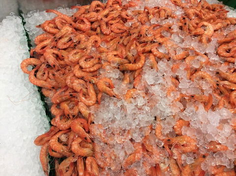 Pearly Oyster Bar And Farm - Phillip Island Accommodation 1