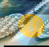 Fay's Cafe - Phillip Island Accommodation