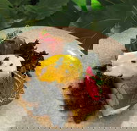 Nic and Kolo - Phillip Island Accommodation