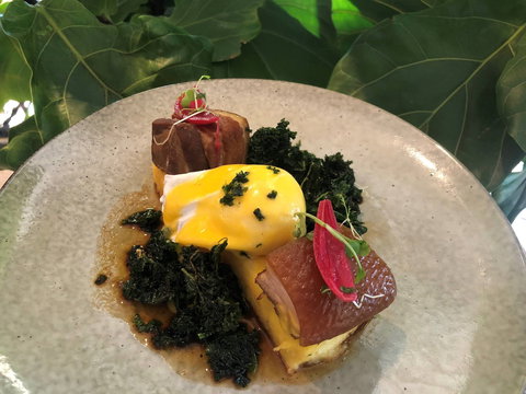 Nic And Kolo - Phillip Island Accommodation 0