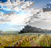 Fallen Giants Vineyard