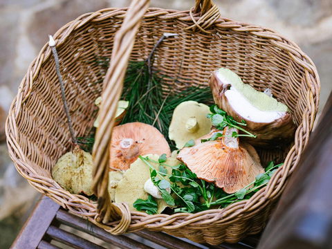 Villetta Porcini - Phillip Island Accommodation 2