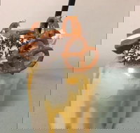 Where Ya Bean - Phillip Island Accommodation