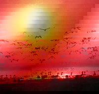 Barra Cafe on Riverview - Phillip Island Accommodation