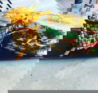 The Brew Lab Cafe - Phillip Island Accommodation