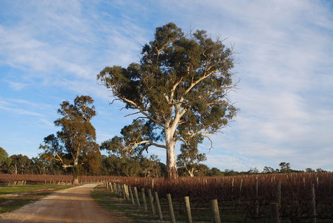 Elysian Springs - Phillip Island Accommodation 1