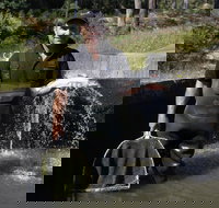 41 Degrees South Tasmania - Phillip Island Accommodation