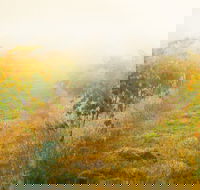 Poonawatta - Phillip Island Accommodation