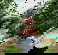 Cherryhill Orchards - Phillip Island Accommodation