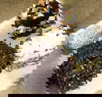 Frollicking Frog - Phillip Island Accommodation