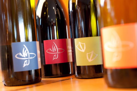 Puddleduck Vineyard - Phillip Island Accommodation 2