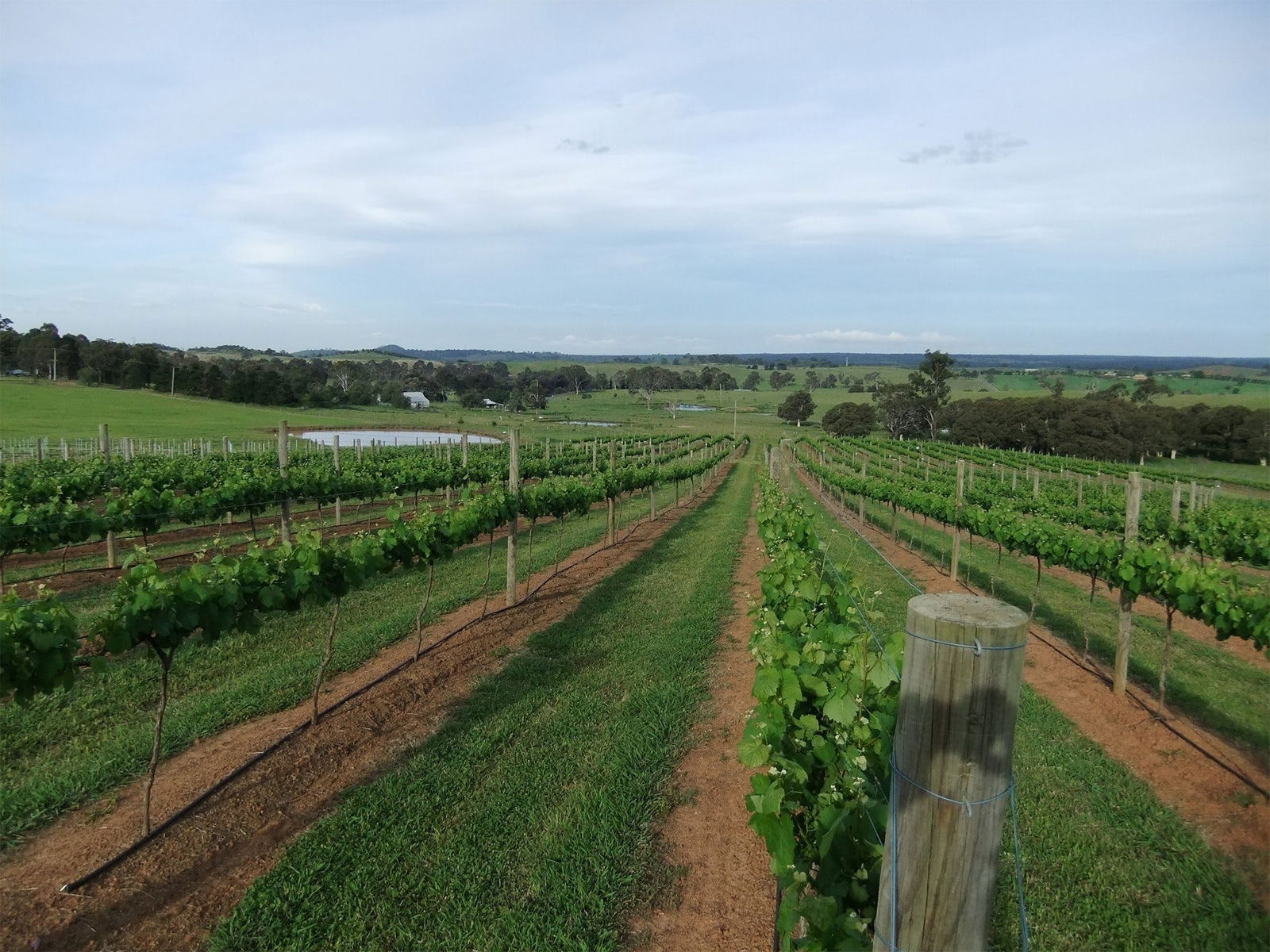Menangle NSW Phillip Island Accommodation