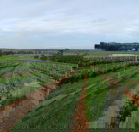 Razorback Ridge Wines - Phillip Island Accommodation