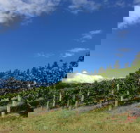 Freycinet Vineyard - Phillip Island Accommodation