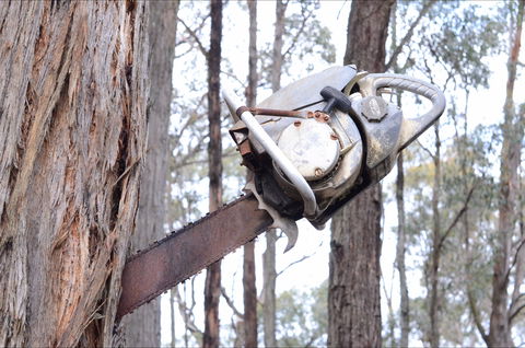 Mount Buninyong Winery - Phillip Island Accommodation 2
