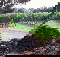 Spring Vale Vineyard - Phillip Island Accommodation
