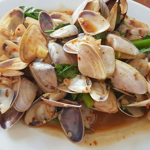 Angkor Reach - Phillip Island Accommodation 0