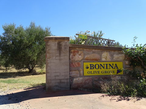 Bonina Olive Grove - Phillip Island Accommodation 1