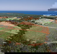 Wise Wine - Phillip Island Accommodation