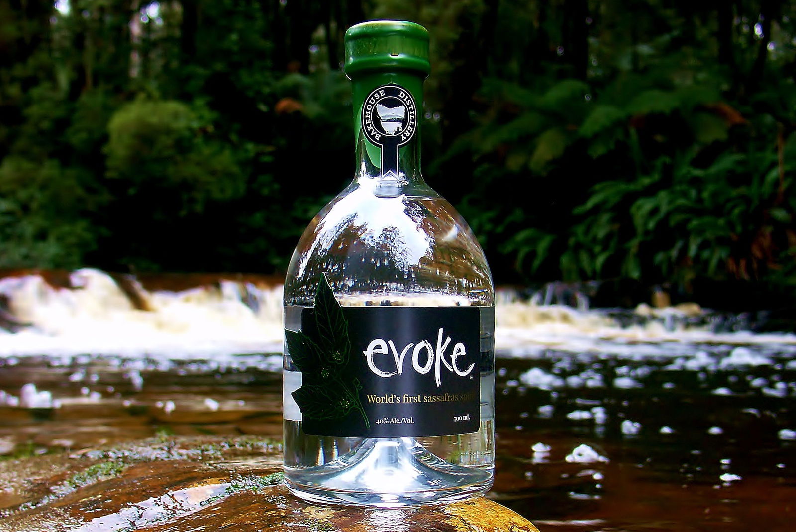 Phillip Island Accommodation