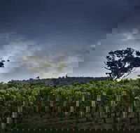Dalrymple Vineyards - Phillip Island Accommodation