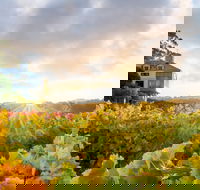 Hahndorf Hill Winery - Phillip Island Accommodation