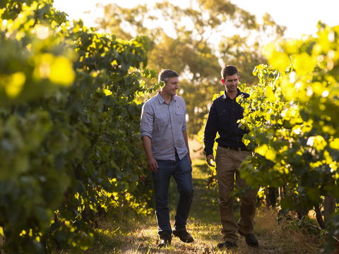 Patrick Of Coonawarra - Phillip Island Accommodation 1