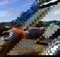 Massena - Phillip Island Accommodation