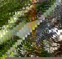 Velvet  Willow - Phillip Island Accommodation