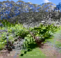 Woongooroo Estate Winery - Phillip Island Accommodation