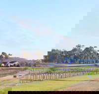 Blacklea Vineyard and Olive Grove - Phillip Island Accommodation