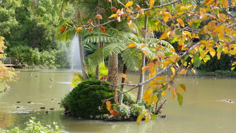 Cedar Creek Estate Winery - Phillip Island Accommodation 2