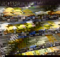 Jesters - Midland - Phillip Island Accommodation