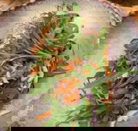 Social Eat Share Live - Phillip Island Accommodation