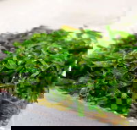 Sushi Master - Hillarys - Phillip Island Accommodation