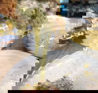 99 - Phillip Island Accommodation