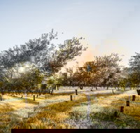 Guneemooroo Estate - Phillip Island Accommodation