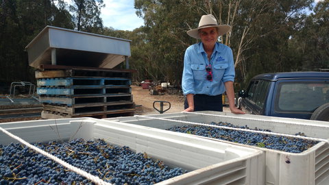 Guneemooroo Estate - Phillip Island Accommodation 1