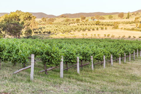 Guneemooroo Estate - Phillip Island Accommodation 2