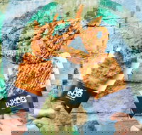 IKA8 - Phillip Island Accommodation