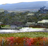 Milton Vineyard - Phillip Island Accommodation