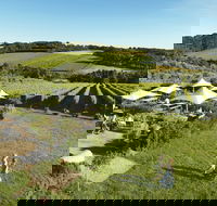 Montalto - Phillip Island Accommodation