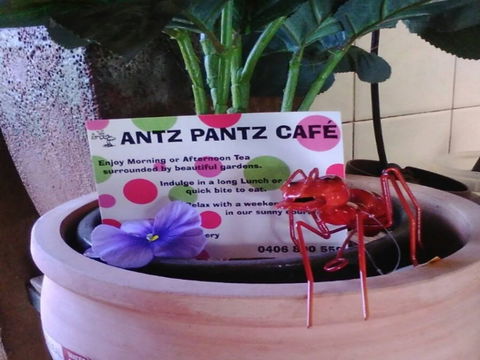 Antz Pantz Cafe - Phillip Island Accommodation 0